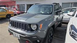 جيب رينيجيد